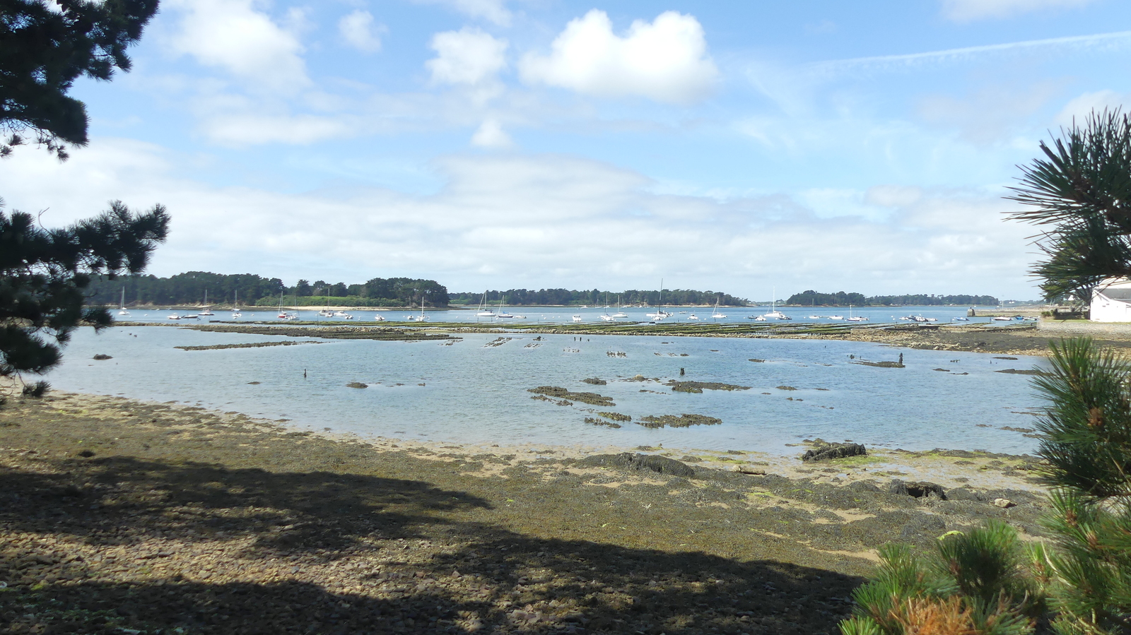 PLANS DES CIRCUITS ILE D'OLERON