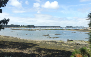 PLANS DES CIRCUITS ILE D'OLERON