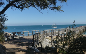 BALADE A  NOIRMOUTIER