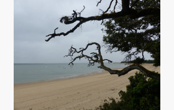 SORTIE ANNUELLE ILE D'OLERON